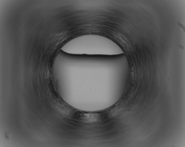 X0000093160371200709261040