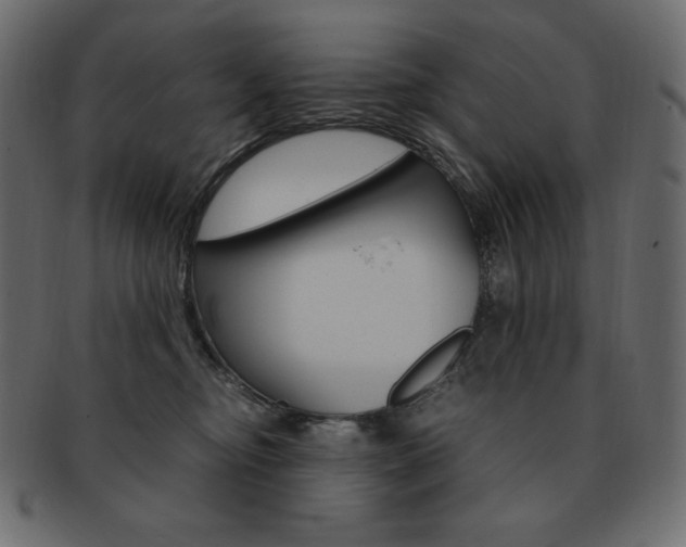 X0000093160374200709261040