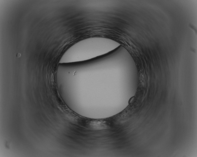 X0000093160375200709261040