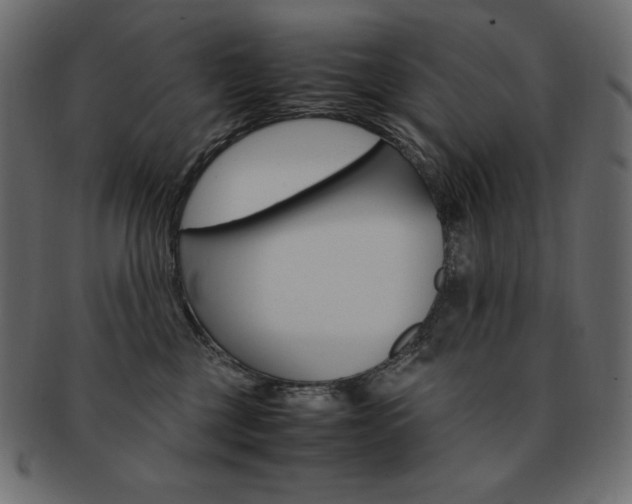 X0000093160377200709261040