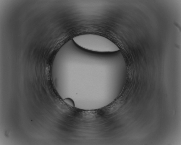 X0000093160378200709261040