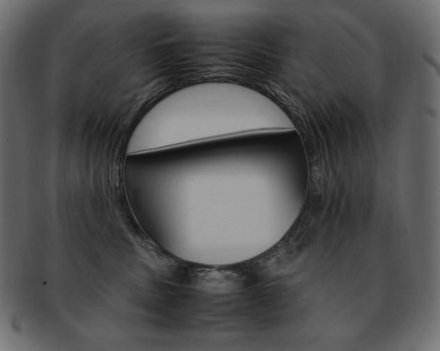 X0000093160379200709261040