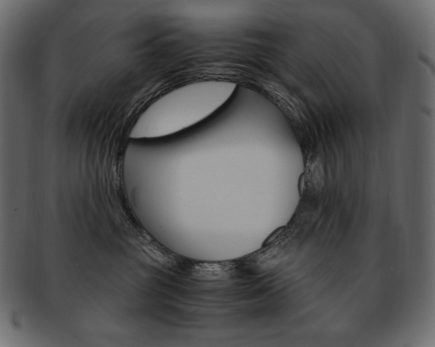 X0000093160381200709261040