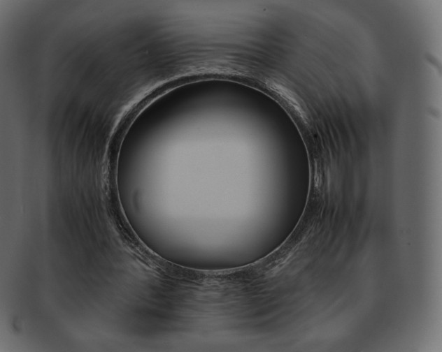 X0000093160388200709261040