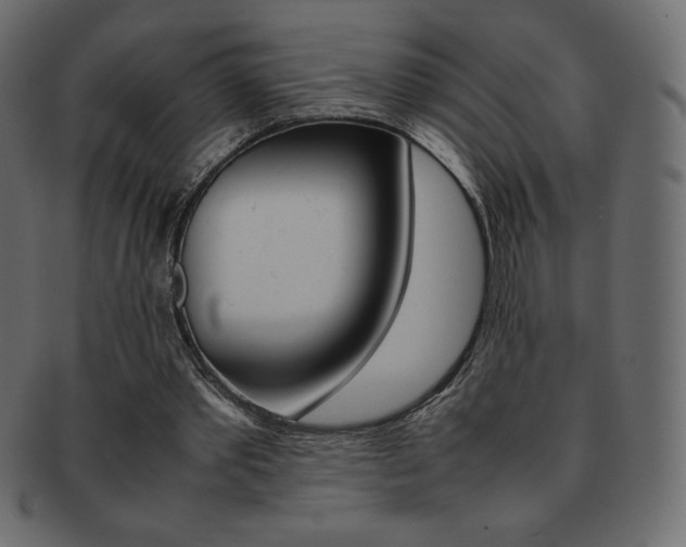 X0000093160389200709261040