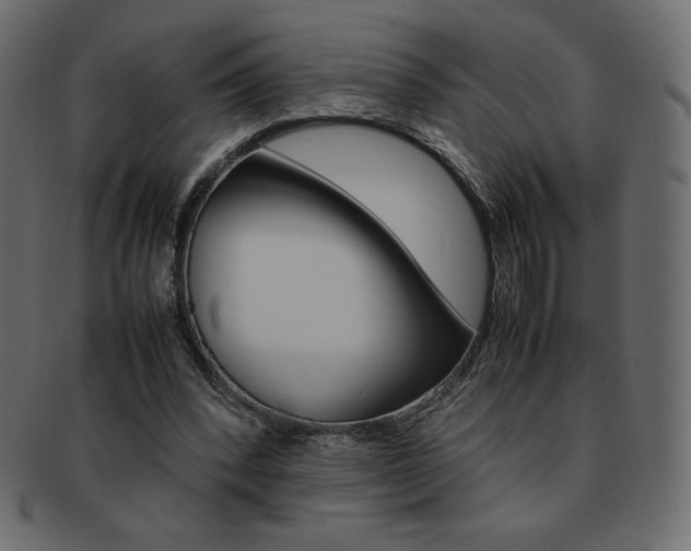 X0000093160392200709261040