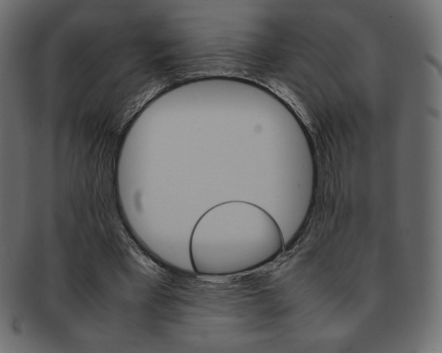 X0000093160393200709261040