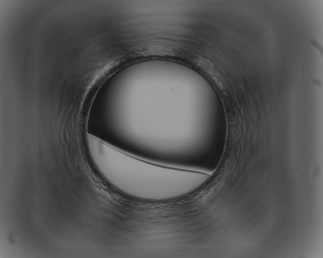 X0000093160395200709261040