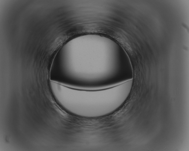 X0000093160397200709261040
