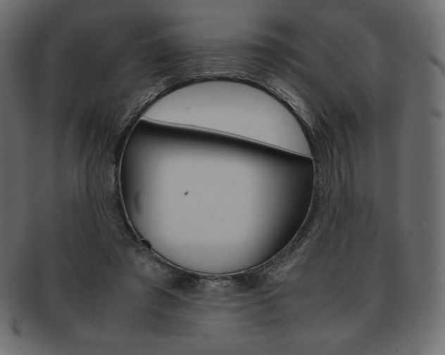 X0000093160401200709261040