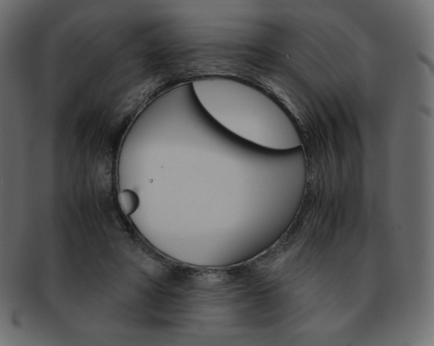X0000093160402200709261040