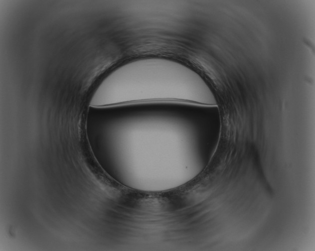 X0000093160404200709261040