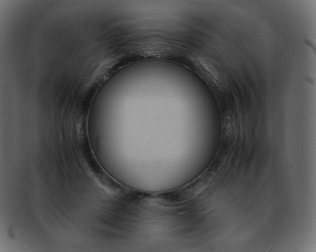 X0000093160408200709261040