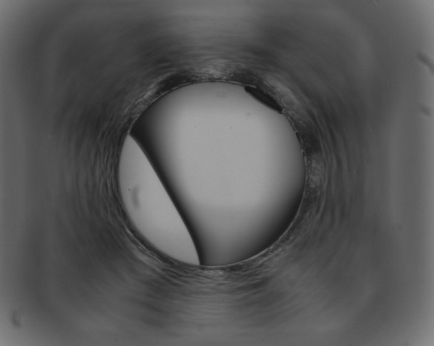 X0000093160409200709261040