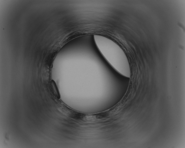 X0000093160413200709261039