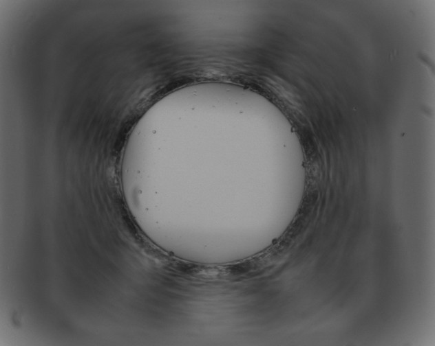 X0000093160415200709261039