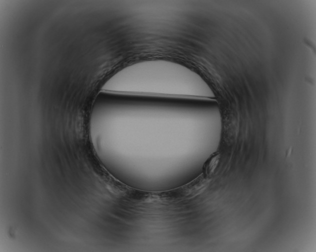 X0000093160416200709261039