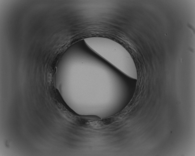 X0000093160417200709261039