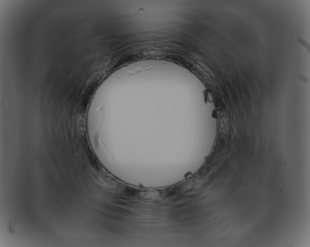 X0000093160419200709261039