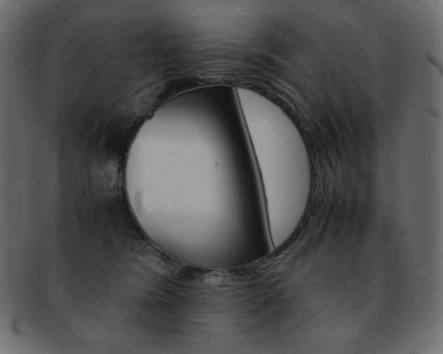 X0000093160420200709261039