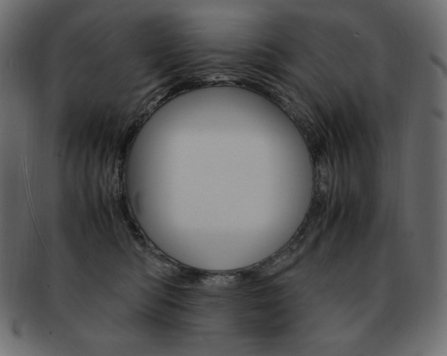 X0000093160422200709261039
