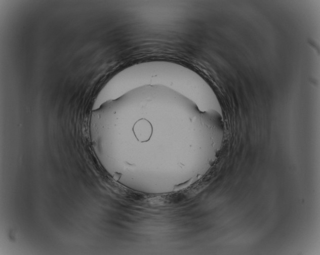 X0000093160423200709261039