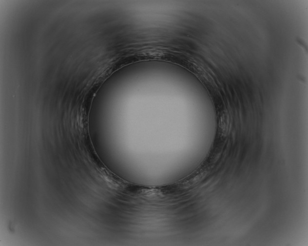 X0000093160424200709261039