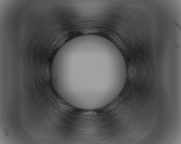 X0000093160426200709261039