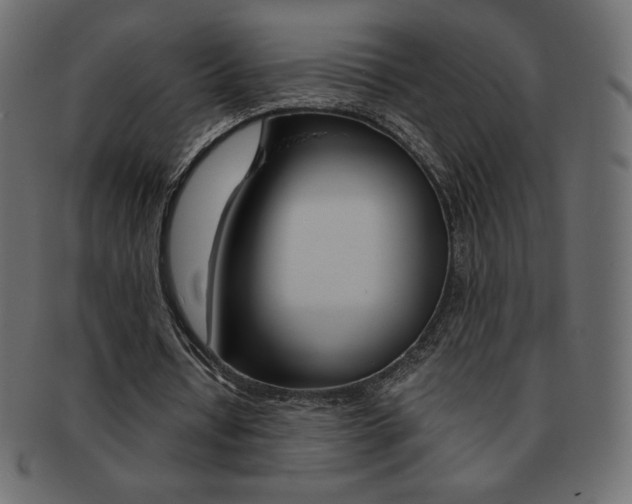 X0000093160434200709261039