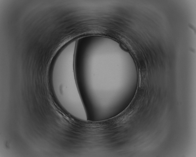 X0000093160435200709261039
