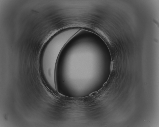 X0000093160436200709261039