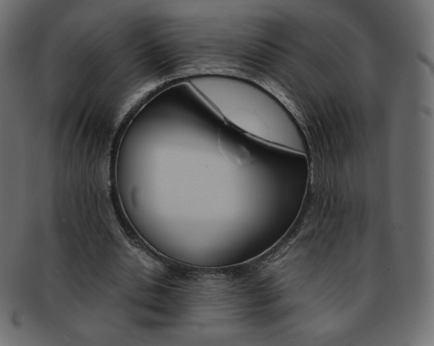 X0000093160438200709261039