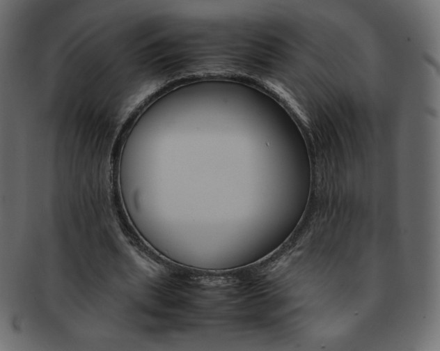 X0000093160439200709261039
