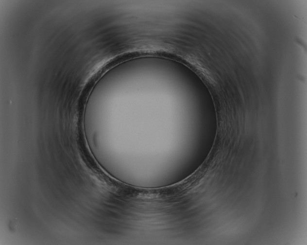 X0000093160440200709261039
