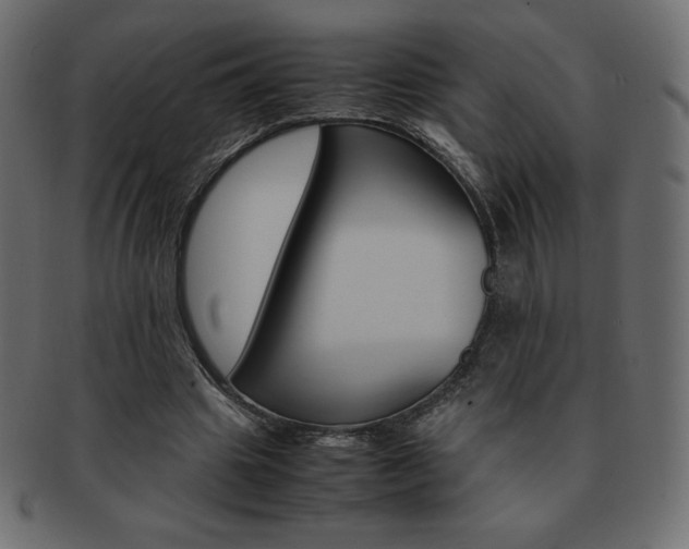 X0000093160441200709261039
