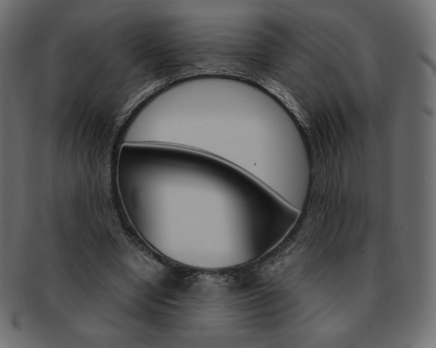 X0000093160442200709261039