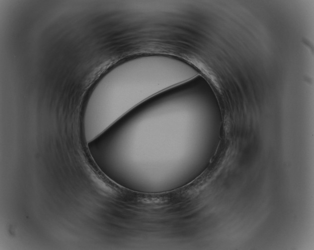 X0000093160445200709261039