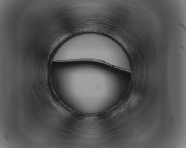 X0000093160446200709261039
