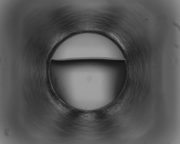 X0000093160447200709261039