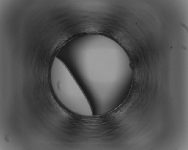 X0000093160449200709261039