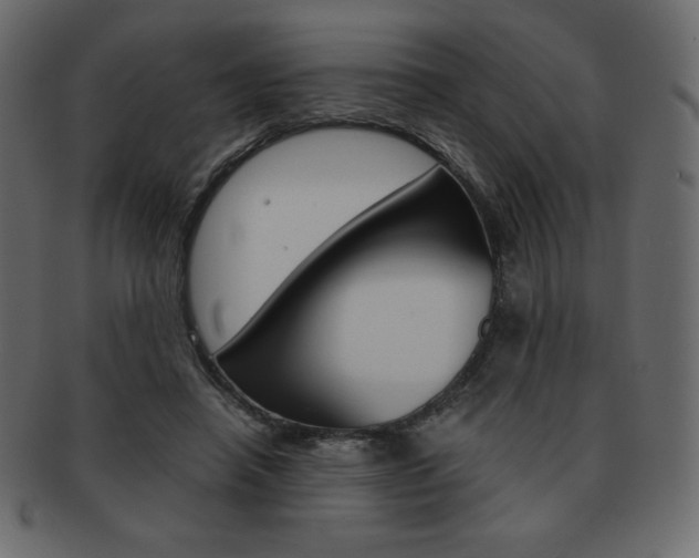 X0000093160450200709261039
