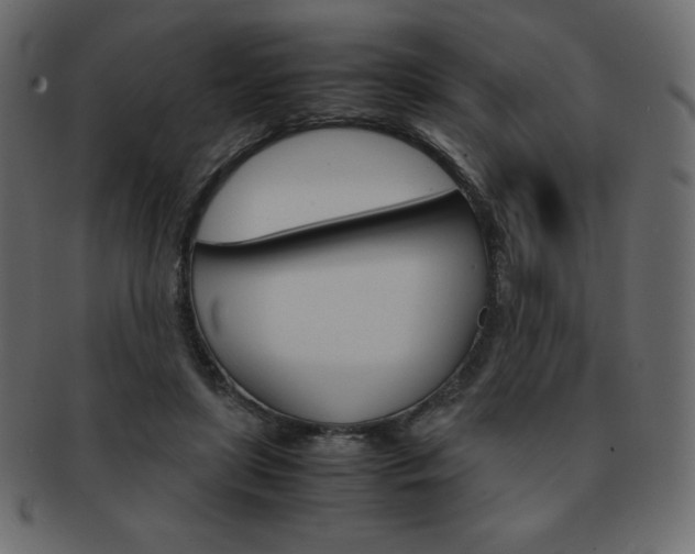 X0000093160451200709261039