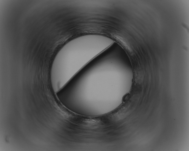 X0000093160453200709261039