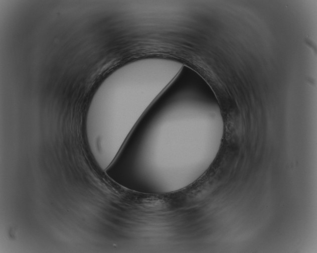 X0000093160454200709261039
