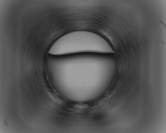 X0000093160455200709261039