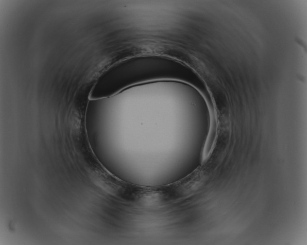 X0000093160456200709261039