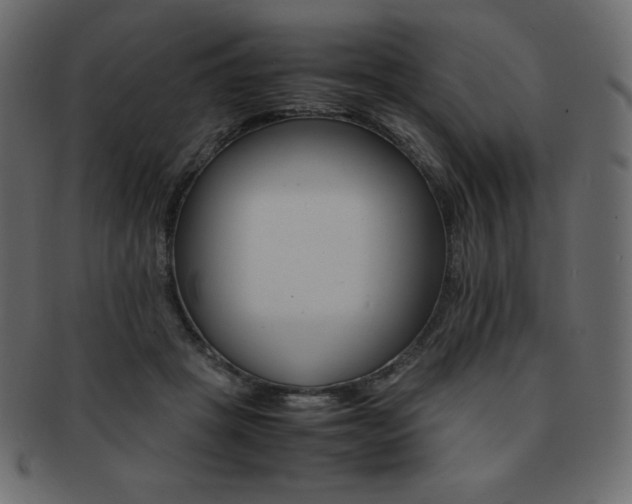 X0000093160457200709261039