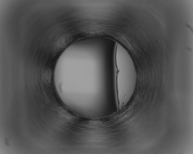 X0000093160458200709261039