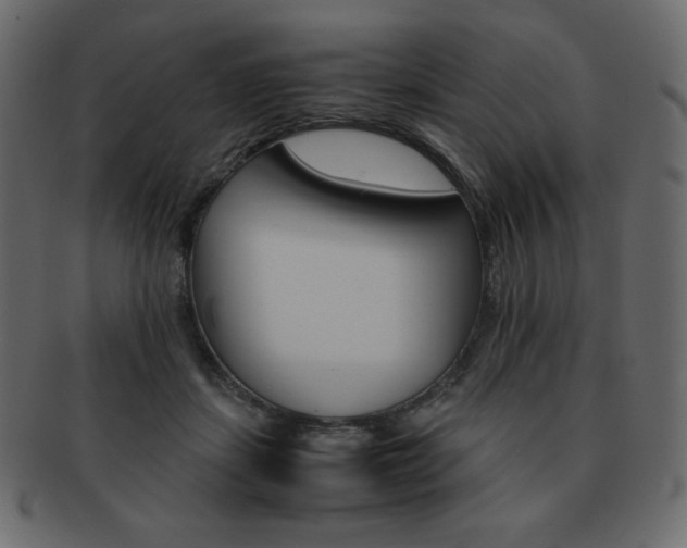 X0000093160459200709261039