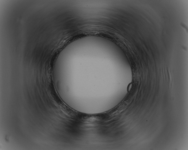 X0000093160460200709261039